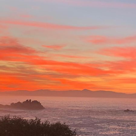 Boutique Ocean Views - Incorporating Wendy'S Hotell Hermanus Eksteriør bilde