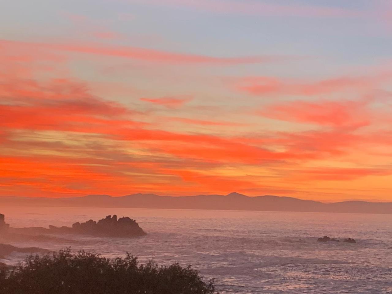 Boutique Ocean Views - Incorporating Wendy'S Hotell Hermanus Eksteriør bilde
